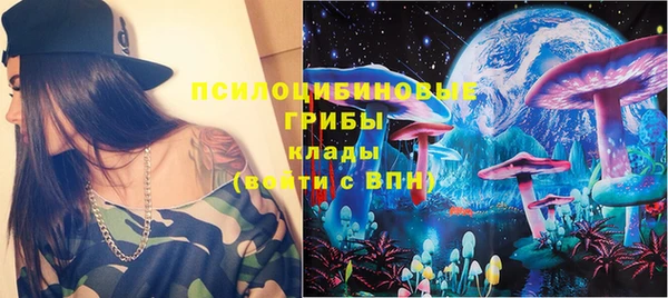 a pvp Дмитров