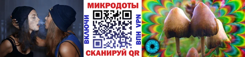 Псилоцибиновые грибы мицелий  Кадников 